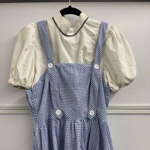 Dorothy wizard of oz costume adult
